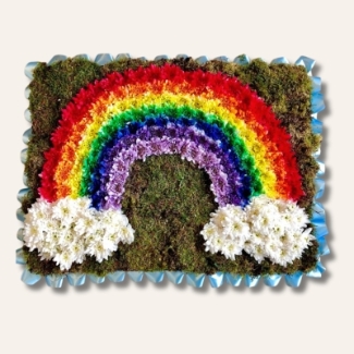 Rainbow-shaped funeral tribute made with red, orange, yellow, green, blue, purple, and pink sprayed chrysanthemums, finished with white cloud detailing, moss backing, and a ribbon edge, measuring approximately 36 inches by 24 inches.